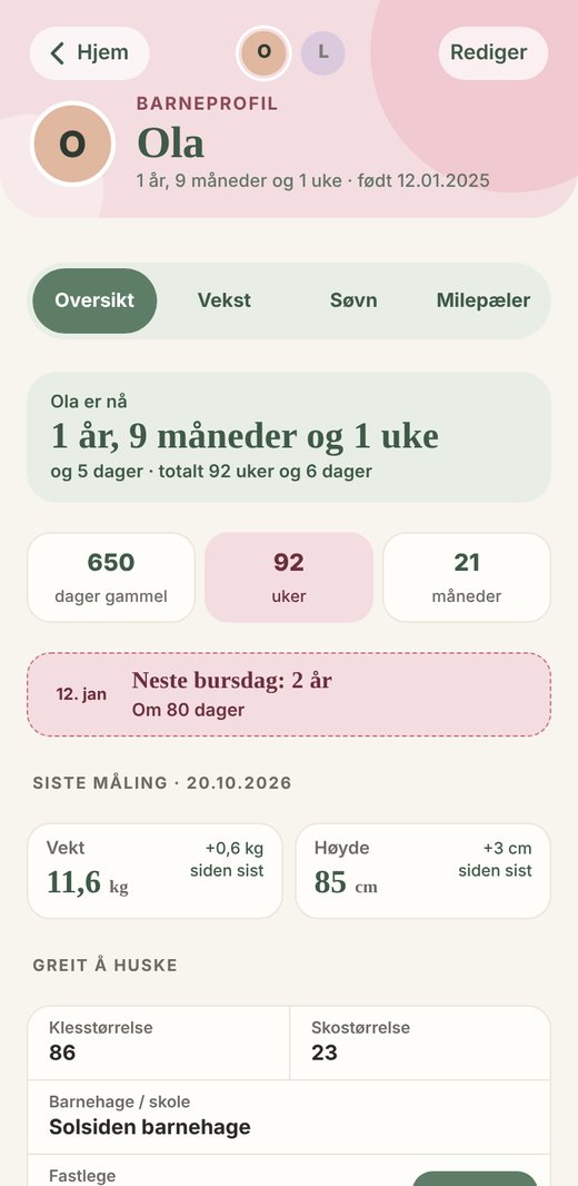 Oversikt for et barn med alder, målinger og greit å huske